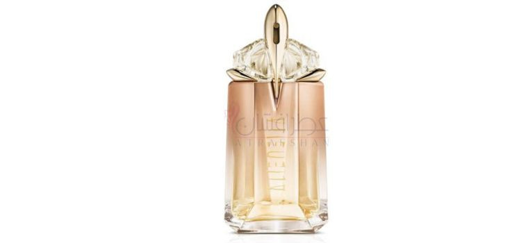 الین گادس اینتنس