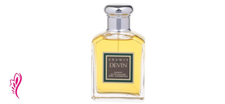 آرامیس دوین