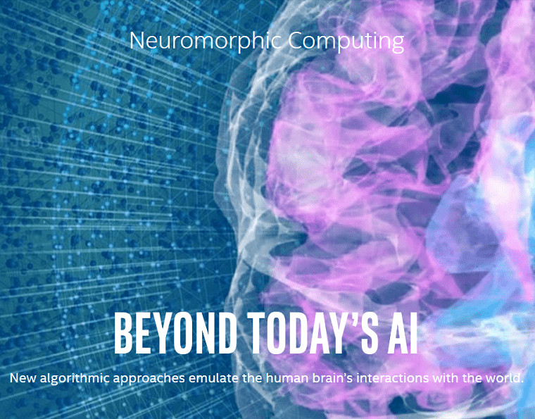 اهمیت وجود نورون های حسی بویایی