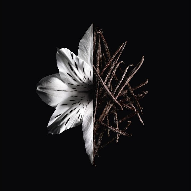 نت های لهاینتردیت ادو پرفیوم اینتنس