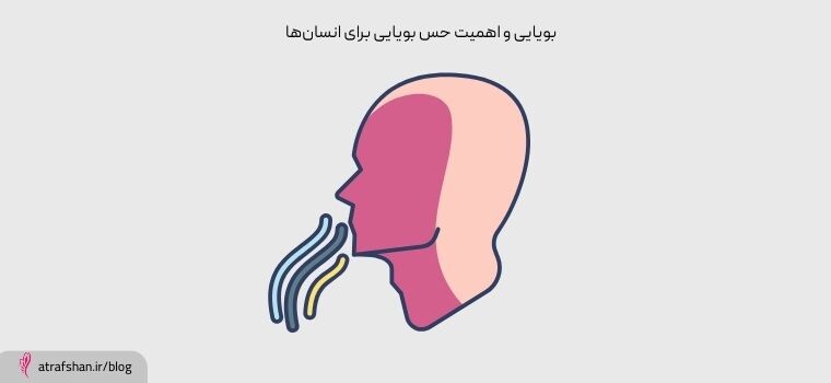 بویایی و اهمیت حس بویایی برای انسانها