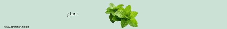 نعناع
