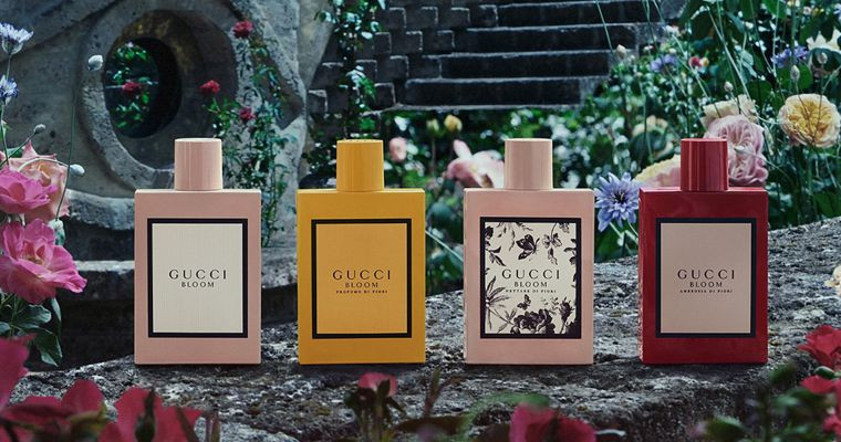 مجموعه عطرهای محبوب گوچی