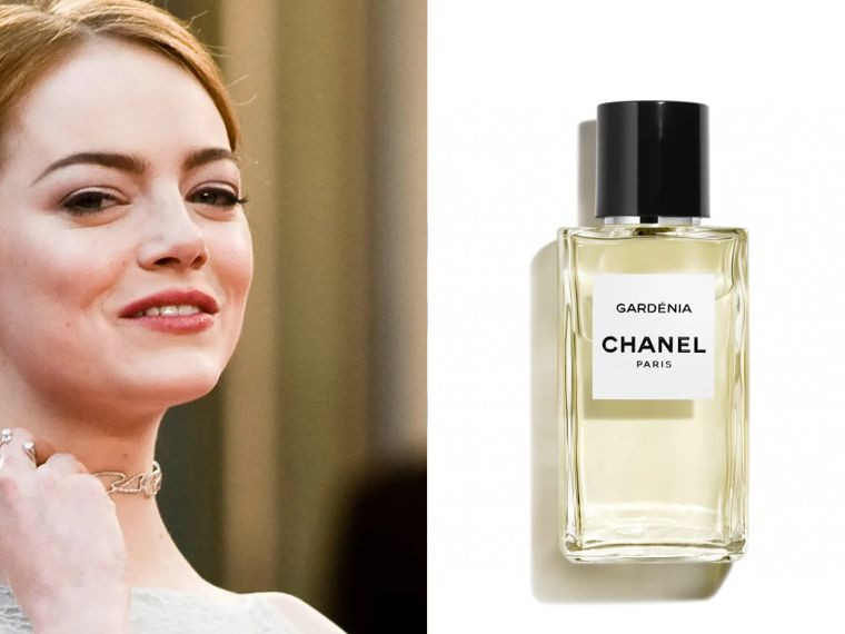 اِما اِستون: شنل لس اکسکلوسیفس د شنل گاردنیا