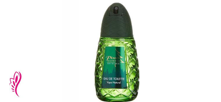 پینو سیلوستره اورجینال