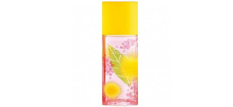 گرین تی میموسا