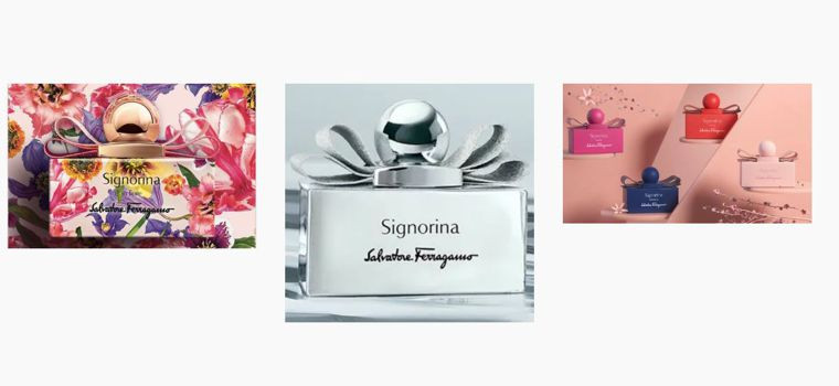 سیگنورینا لیمیتد ادیشن