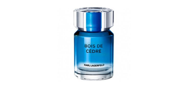 کارل لاگرفلد بویس د سدر