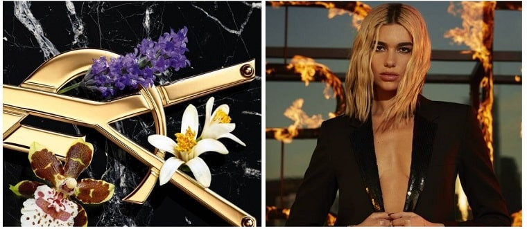 ترکیبات ایو سن لورن لیبر ادو پرفیوم اینتنس