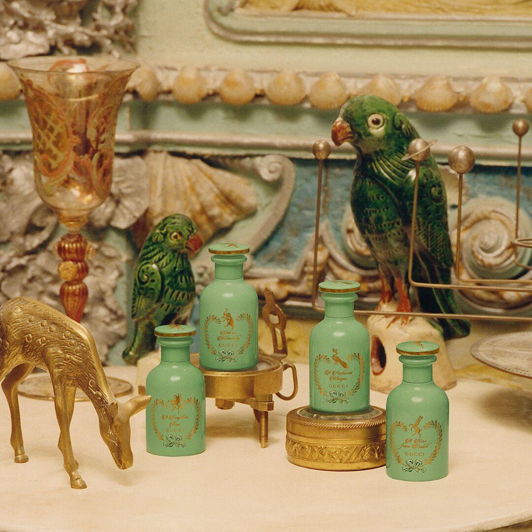 عکس 2 از سری د آلکمیست گاردن گوچی