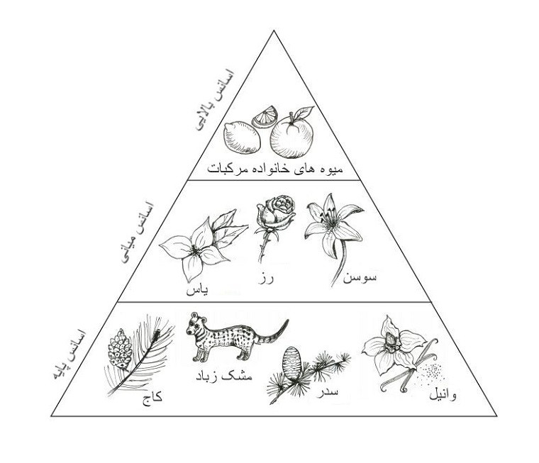 هرم ساختار عطرها