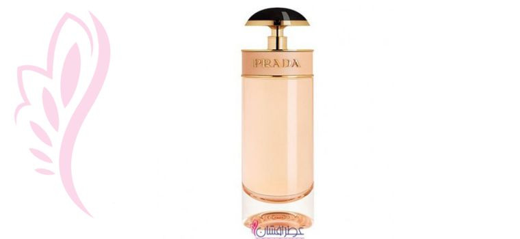 پرادا کندی لئو