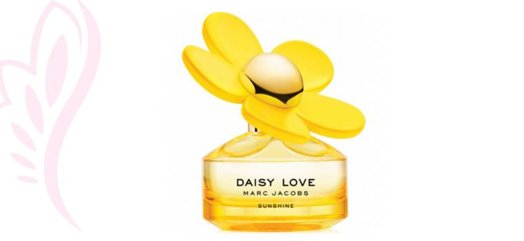 دیسی لاو سانشاین