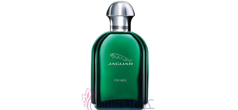 جگوار مردانه