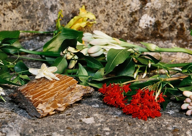 ترکیبات طبیعی گوچی بلوم