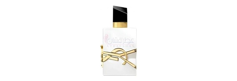 ایو سن لورن لیبر لئو نوی