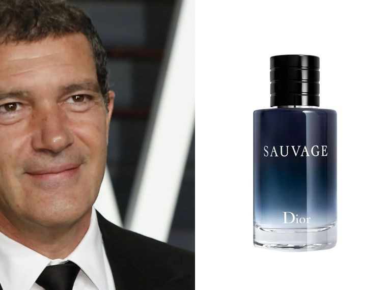 آنتونیو باندراس: دیور ساوج