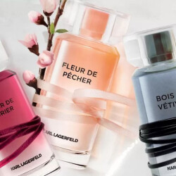 راهنمای کامل کارل لاگرفلد متیرس کالکشن