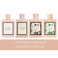 اورجینال در برابر فلنکر: گوچی بلوم و ادیشن‌های فلنکر