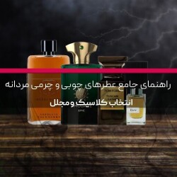 راهنمای جامع عطرهای چوبی و چرمی مردانه: انتخاب کلاسیک و مجلل