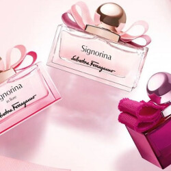 راهنمای کامل عطرهای سالواتوره فراگامو سیگنورینا
