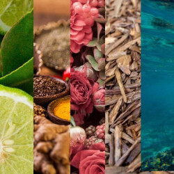 با انواع رایحه عطر آشنا شوید !