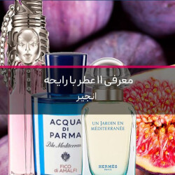 معرفی 11 ادکلن با رایحه درخت انجیر