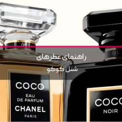 عطرهای شنل کوکو و شنل کوکو نویر چه تفاوت‌هایی دارند؟