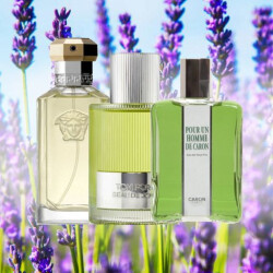 معرفی 14 ادکلن با رایحه لاوندر (اسطوخودوس)