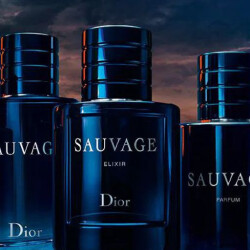 مقایسه دقیق دیور ساواج با ادیشن‌های گوناگونش