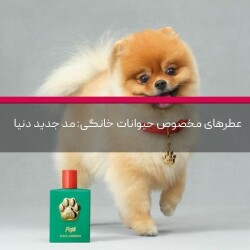 عطرهای مخصوص حیوانات خانگی: مد جدید دنیا