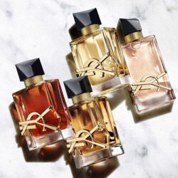 راهنمای عطرهای ایو سن لورن لیبر