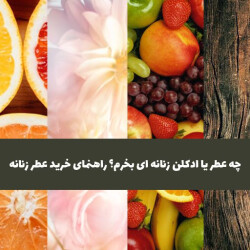 چه عطر یا ادکلن زنانه ای بخرم؟ راهنمای خرید عطر زنانه
