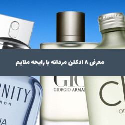 معرفی 8 ادکلن مردانه با رایحه ملایم