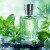 ۲۴ عطر برتر با نت نعناع؛ خنک، شاداب و ماندگار