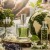 بررسی تأثیر عطر بر محیط زیست و مسئولیت اجتماعی
