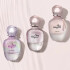 راهنمای همه عطرهای فراگامو آمو
