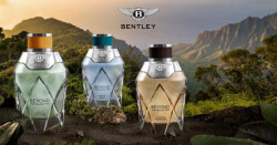 کشف دنیای جدیدی در میان عطرها: مجموعه ای از عطرهای BENTLEY BEYOND