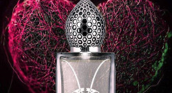 استفان هامبرت لوکاس منتیوز