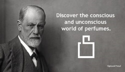 چگونه عطر را درک می‌کنیم؟