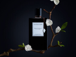 ون کلیف اند آرپلز بوا د آمند کالکشن اکسترا اردینری