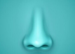 کووید-۱۹ و از دست دادن بویایی