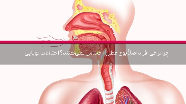 چرا برخی افراد اصلاً بوی عطر را احساس نمیکنند؟ اختلالات بویایی