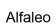آلفالئو