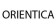 اورینتیکا