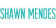 شاون مندس