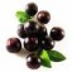 دانه‌ی آسای