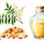 نت های بالزامیک