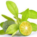 پرتقال زینتی