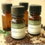 دی‌اکسید کربن اکسترکتس